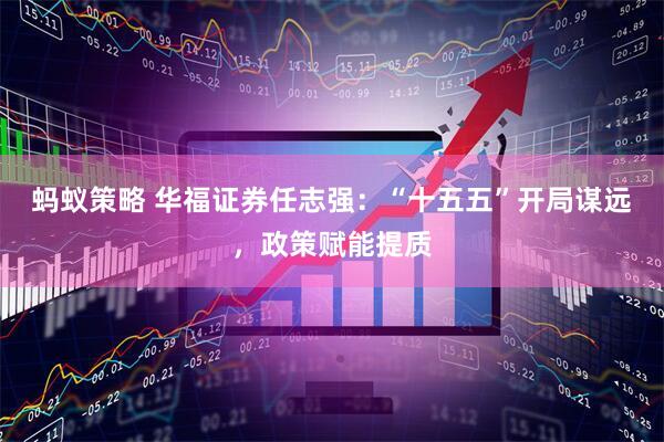 蚂蚁策略 华福证券任志强：“十五五”开局谋远，政策赋能提质