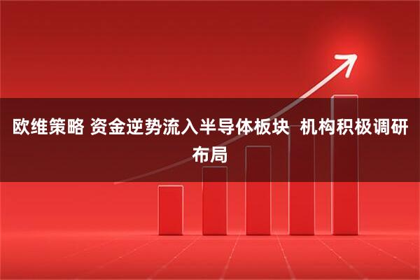 欧维策略 资金逆势流入半导体板块  机构积极调研布局